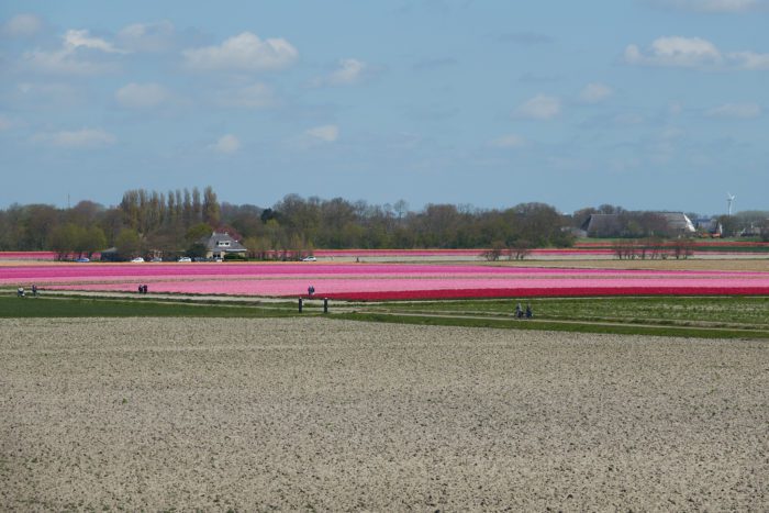 2023-04-30 13.26.14 Fietstocht 030