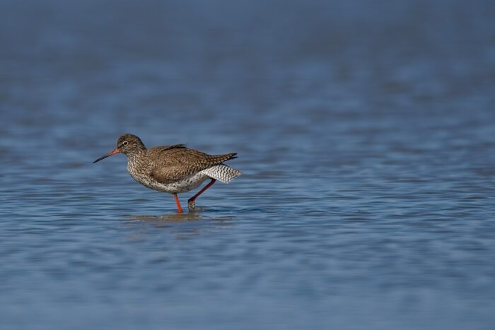 2025 04 12 bij boer murk 00080