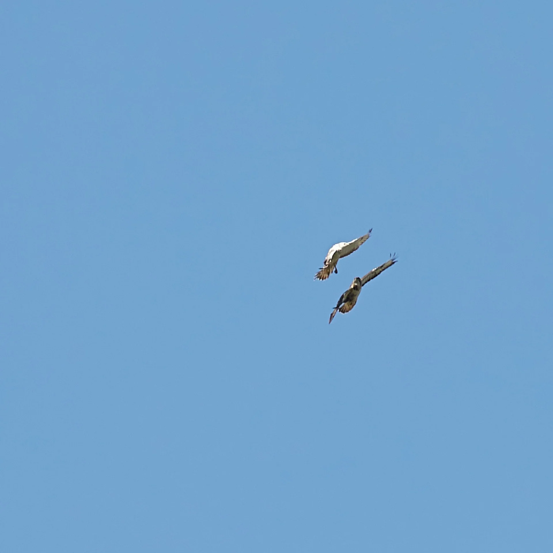 2023-04-05 15.03.29 de Wiidemar 075