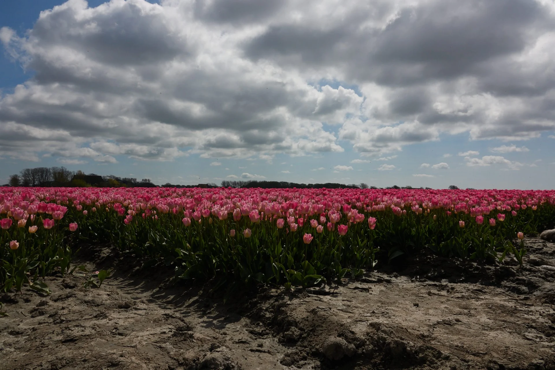 2023-04-30 14.19.35 Fietstocht 038