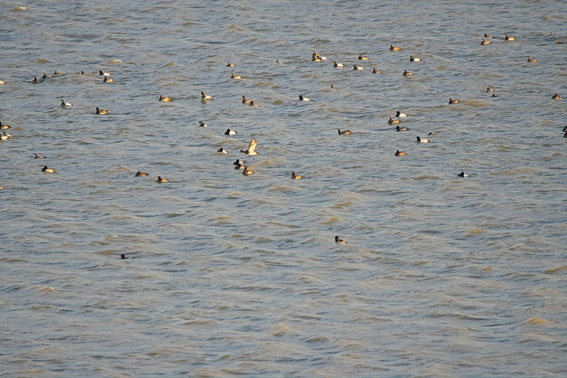 Dsc00024