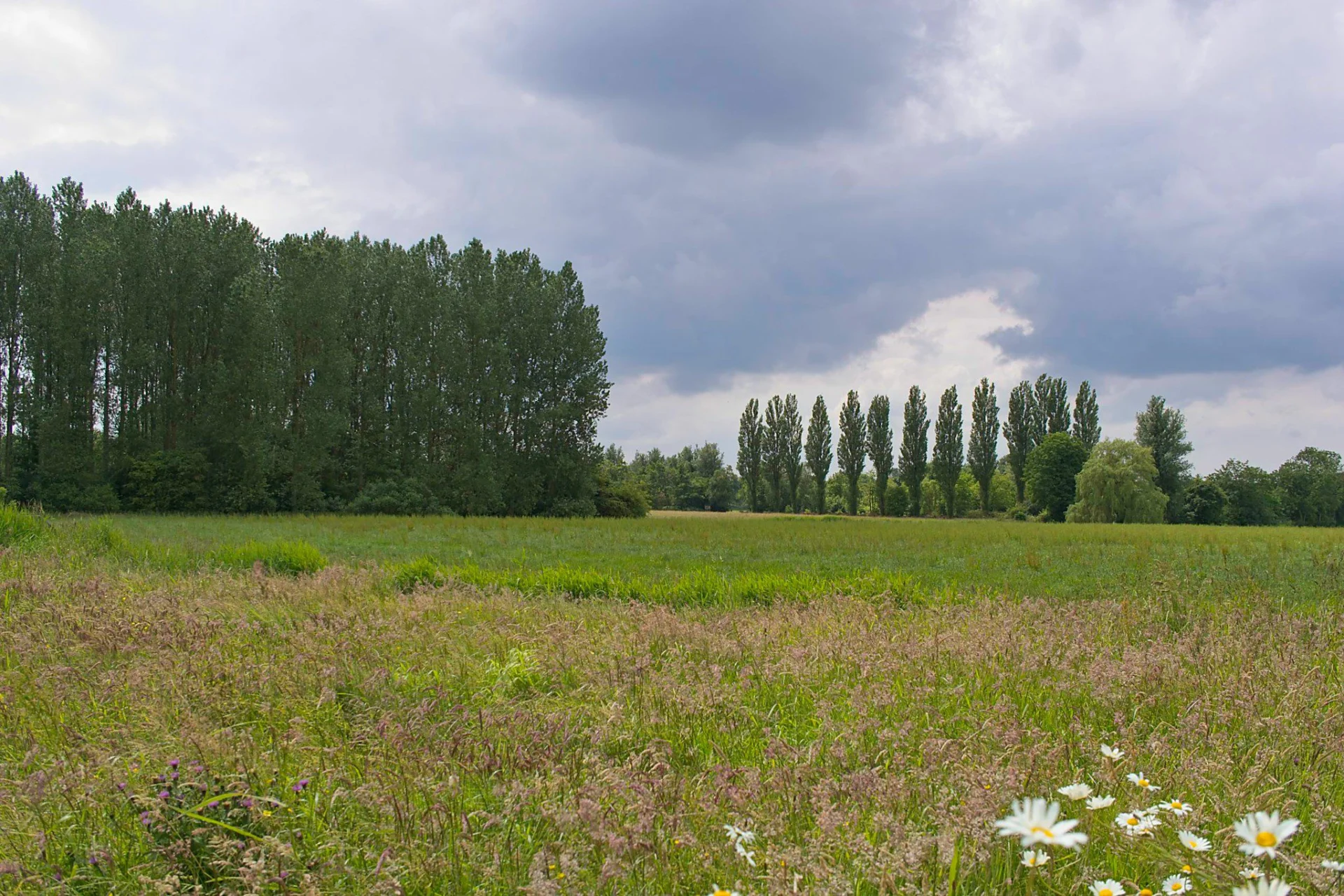 2024 06 13 Zomer 1