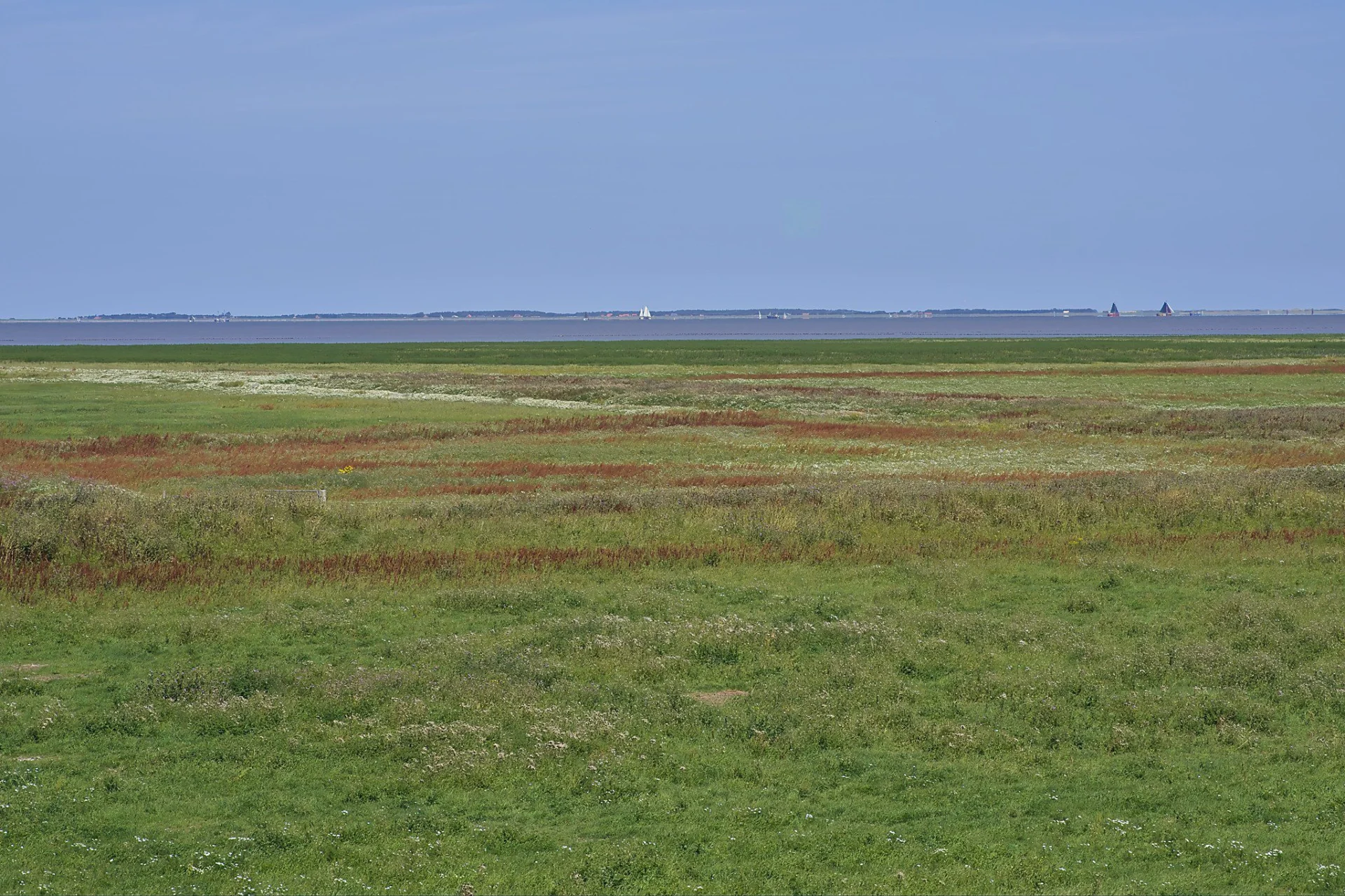 Dsc01173