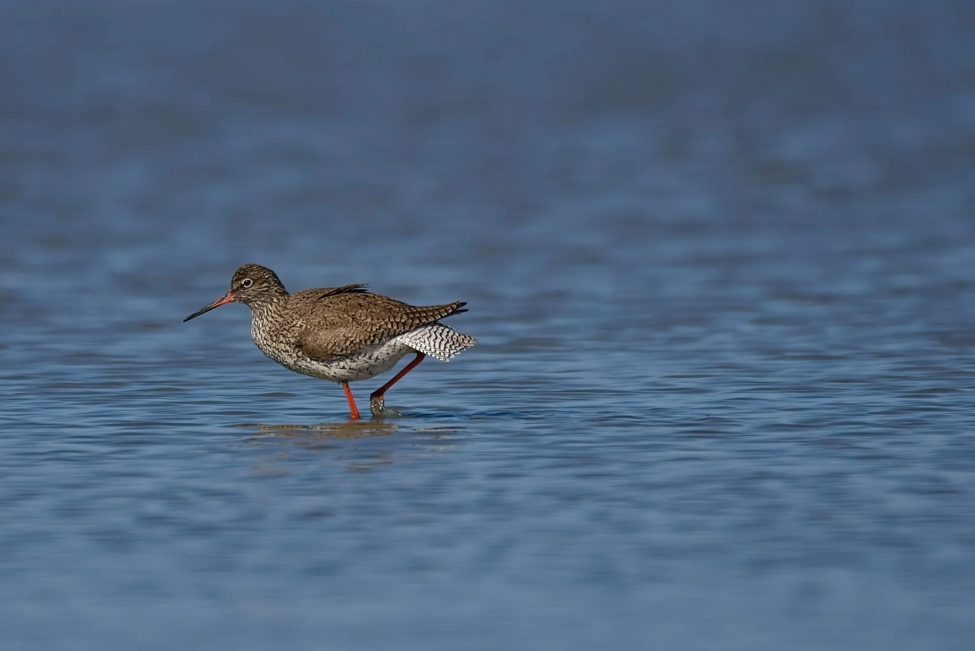 2025 04 12 bij boer murk 00080
