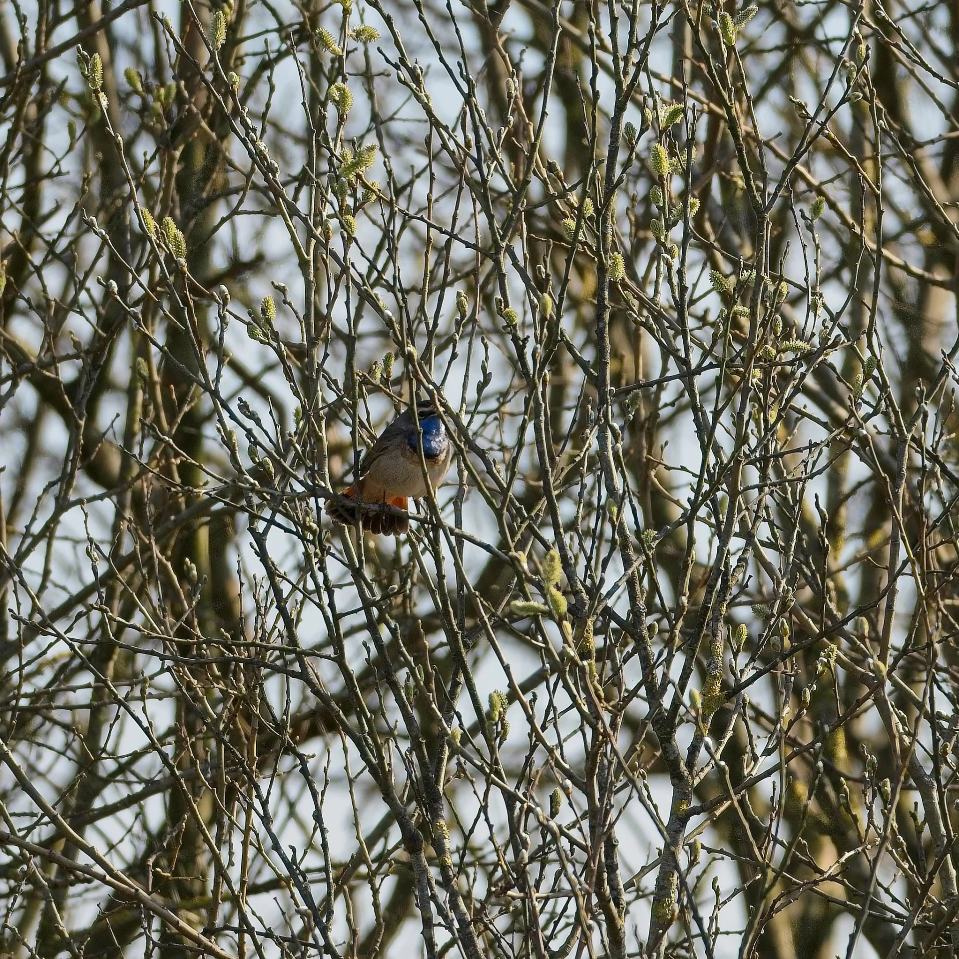 P4030677