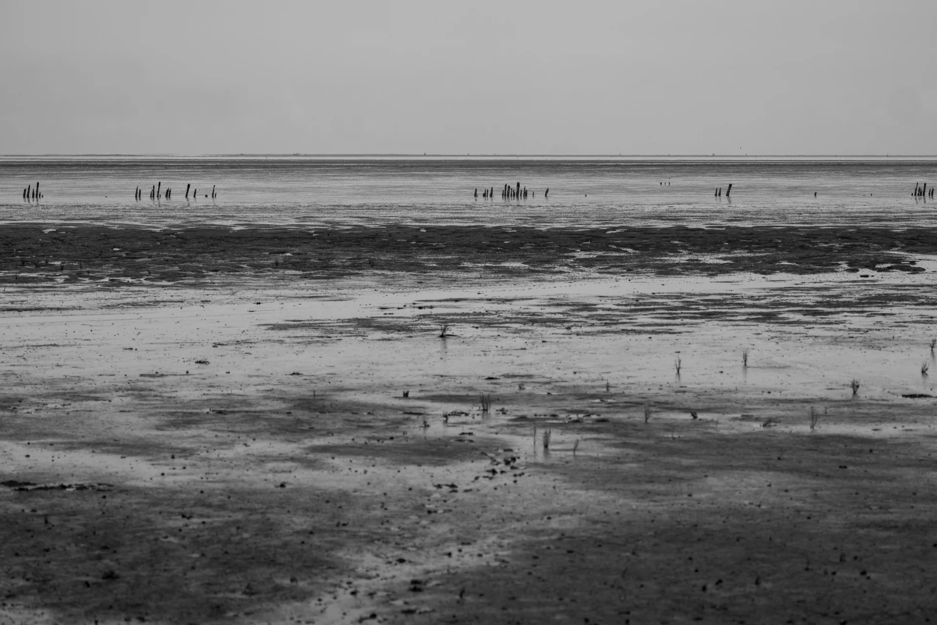 Zwart-wit fotografie